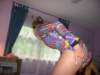 lastyears0060e_small.jpg